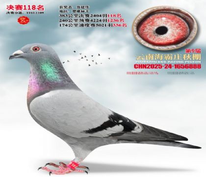 ����ׯ����118��