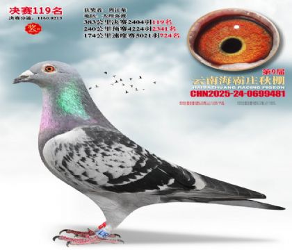 ����ׯ����119��