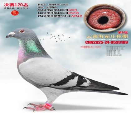 ����ׯ����120��