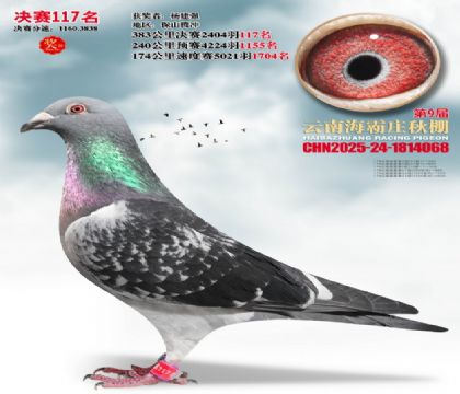 ����ׯ����117��