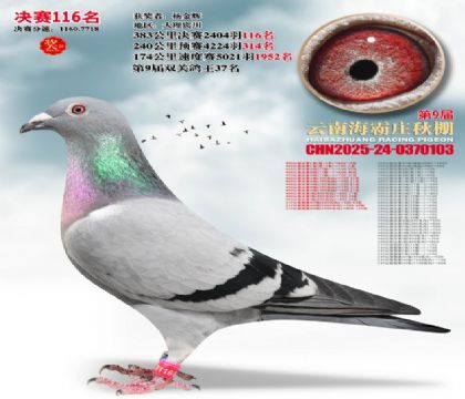 ����ׯ����116��