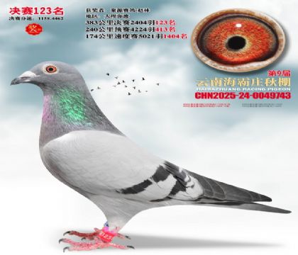 ����ׯ����123��