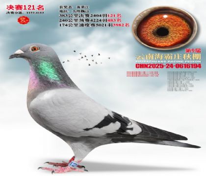 ����ׯ����121��