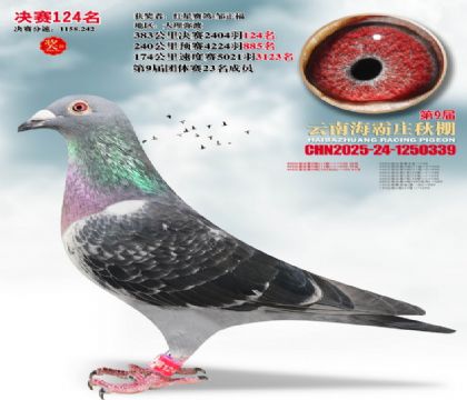 ����ׯ����124��