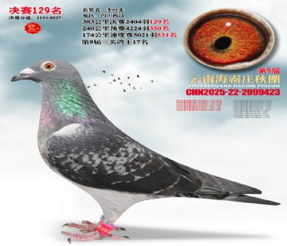 ����ׯ����129��