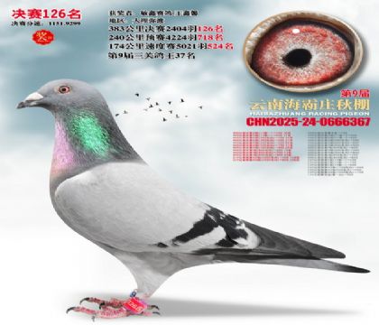 ����ׯ����126��