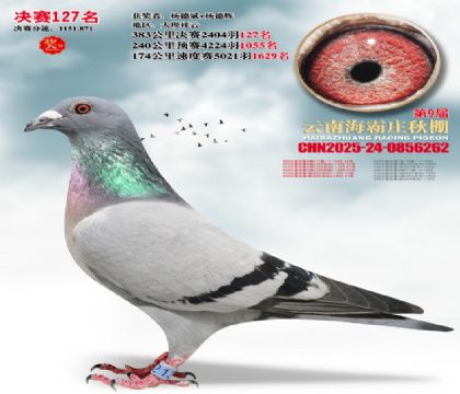 ����ׯ����127��