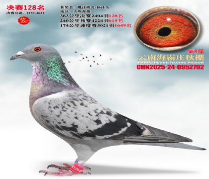 ����ׯ����128��