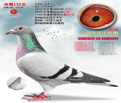 ����ׯ����132��