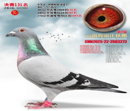 ����ׯ����131��