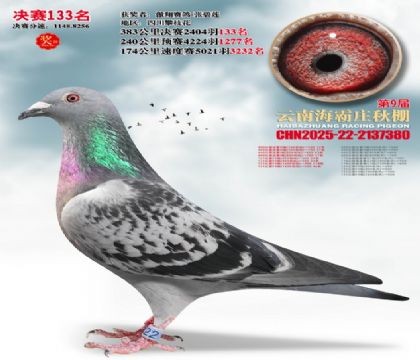 ����ׯ����133��