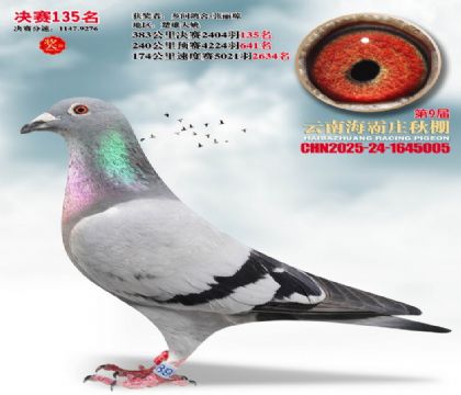 ����ׯ����135��