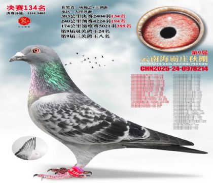 ����ׯ����134��