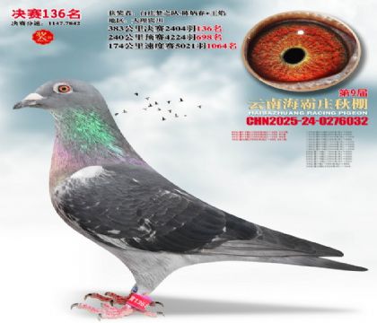 ����ׯ����136��