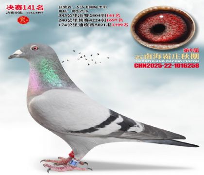 ����ׯ����141��