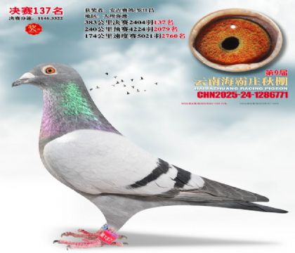 ����ׯ����137��