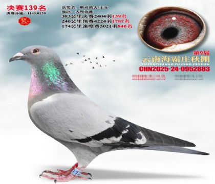 ����ׯ����139��