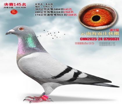 ����ׯ����145��