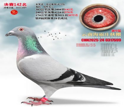 ����ׯ����142��