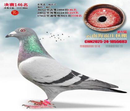 ����ׯ����146��