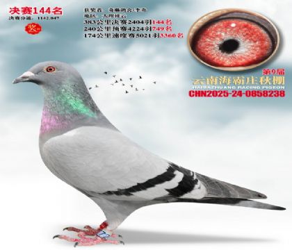 ����ׯ����144��