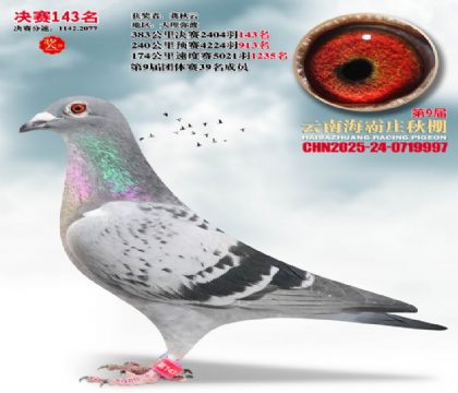 ����ׯ����143��