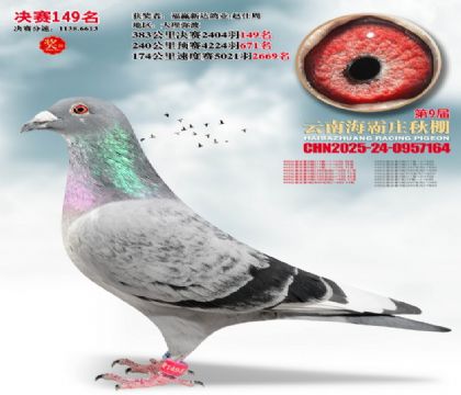 ����ׯ����149��