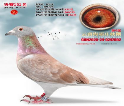 ����ׯ����151��