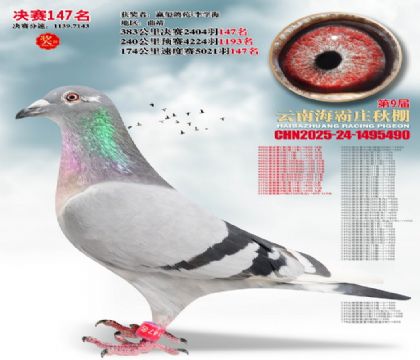 ����ׯ����147��