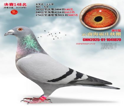 ����ׯ����148��