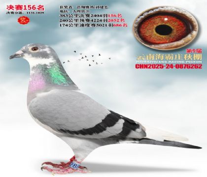 ����ׯ����156��