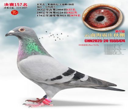 ����ׯ����157��