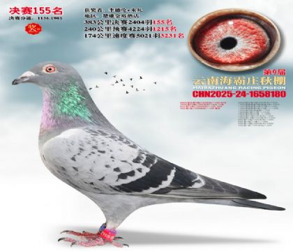 ����ׯ����155��