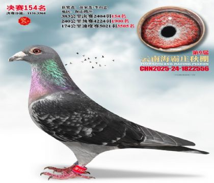 ����ׯ����154��