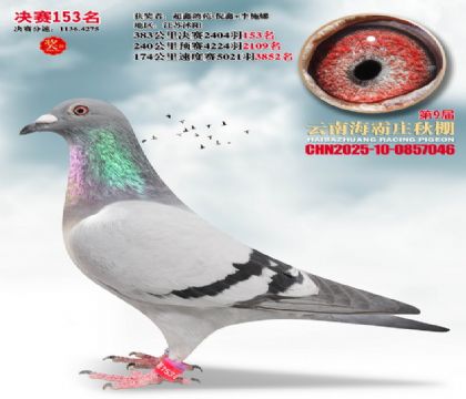 ����ׯ����153��