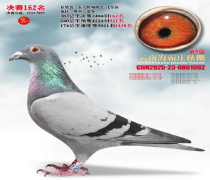 ����ׯ����162��