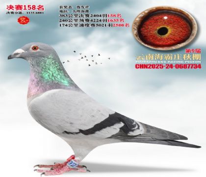 ����ׯ����158��