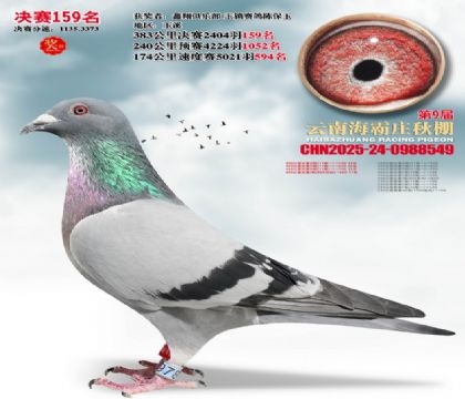 ����ׯ����159��