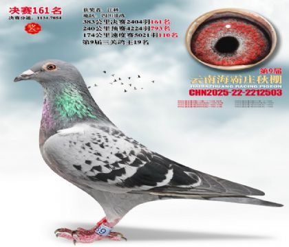 ����ׯ����161��