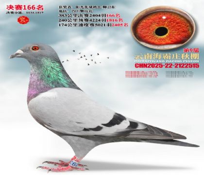 ����ׯ����166��