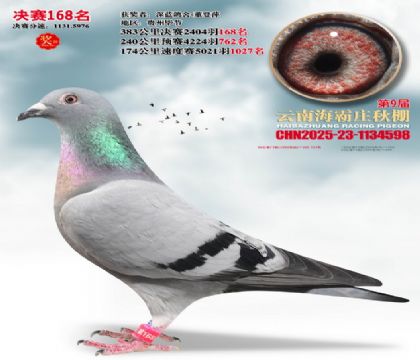 ����ׯ����168��