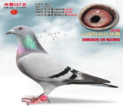 ����ׯ����167��