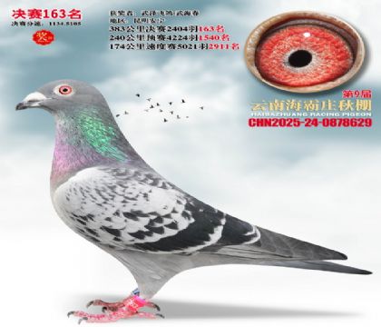 ����ׯ����163��