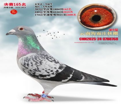 ����ׯ����165��