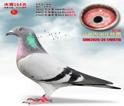 ����ׯ����164��