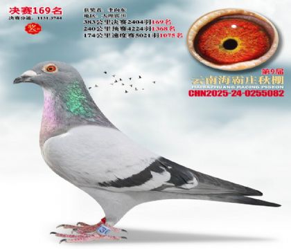 ����ׯ����169��