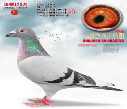 ����ׯ����170��