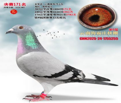 ����ׯ����171��