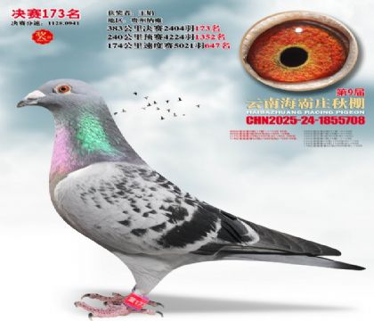 ����ׯ����173��