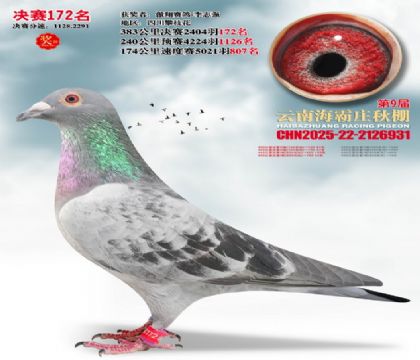 ����ׯ����172��